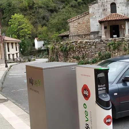 El Mirador Del Oso *