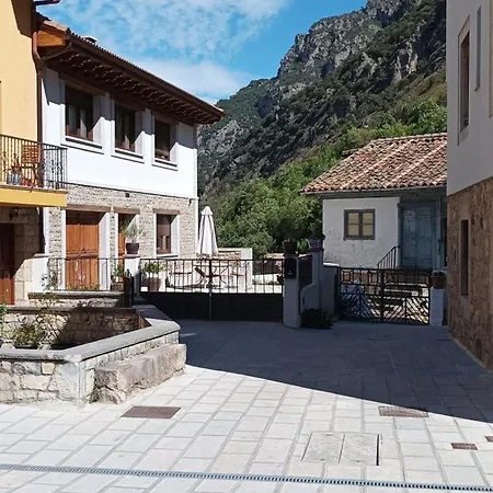 El Mirador Del Oso *