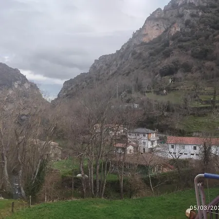 El Mirador Del Oso *